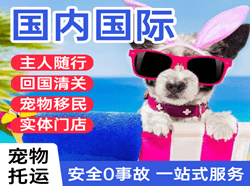 乌鲁木齐地窝堡航空空运国际宠物托运 【国